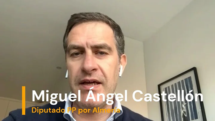 Entrevista Miguel ngel Castelln