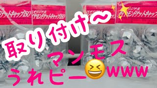 トラックアルミホイール　ナットキャップ取り付けました　アルコア　イメージＵＰ出来たかなぁ