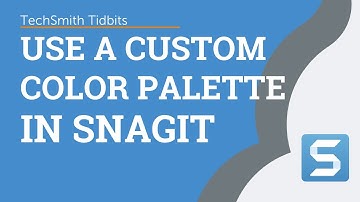 Create a Custom Color Palette in Snagit