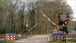 Spoorwegovergang Zwolle Herfte Dutch Railroad Crossing