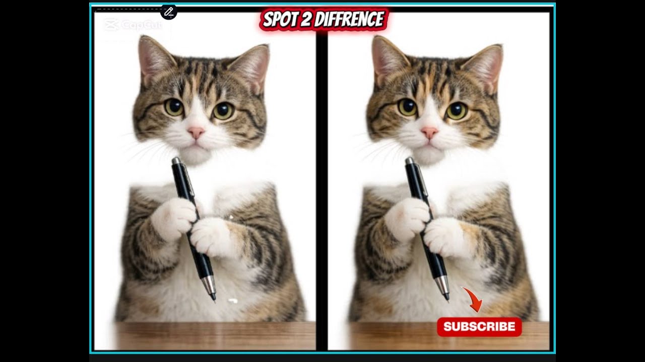 Spot 2 Diffrence and Tap if you got😉 thanks a lot for subscription 🥰