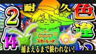 【色違い耐久】狙ってる色違い２体捕まえるまで終われない！？パート２│ポケモン スカーレット 【ノコル/One Lyric】