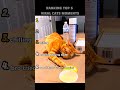 Top 5 cat moments that feel completely illegal 😭 #FunnyCats #CatAura #Viral #CatMemes