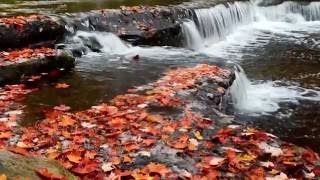 Fall foilage prediction for Upstate New York
