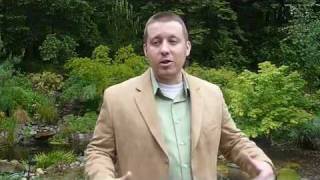 A Limited Constitutional Federal Government .flv
