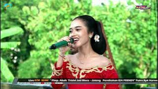 LAMUNAN - KENCANA WUNGU CAMPURSARI || NUGROHO AUDIO