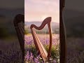 考えすぎてしまう頭を静かに休める 癒しのハープ音楽｜自律神経を整える音楽・安らぎのハープ・落ち着くハープ・リラックスハープ #harp #ハープ音楽 #shorts