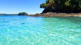 Peace of Paradise