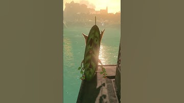 Worst Korok #4 | Zelda BOTW Short