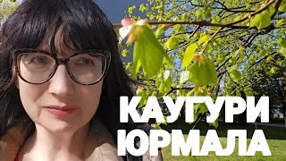 Иду в парикмахерскую.Прогулка по Каугури.Сколько цветов!