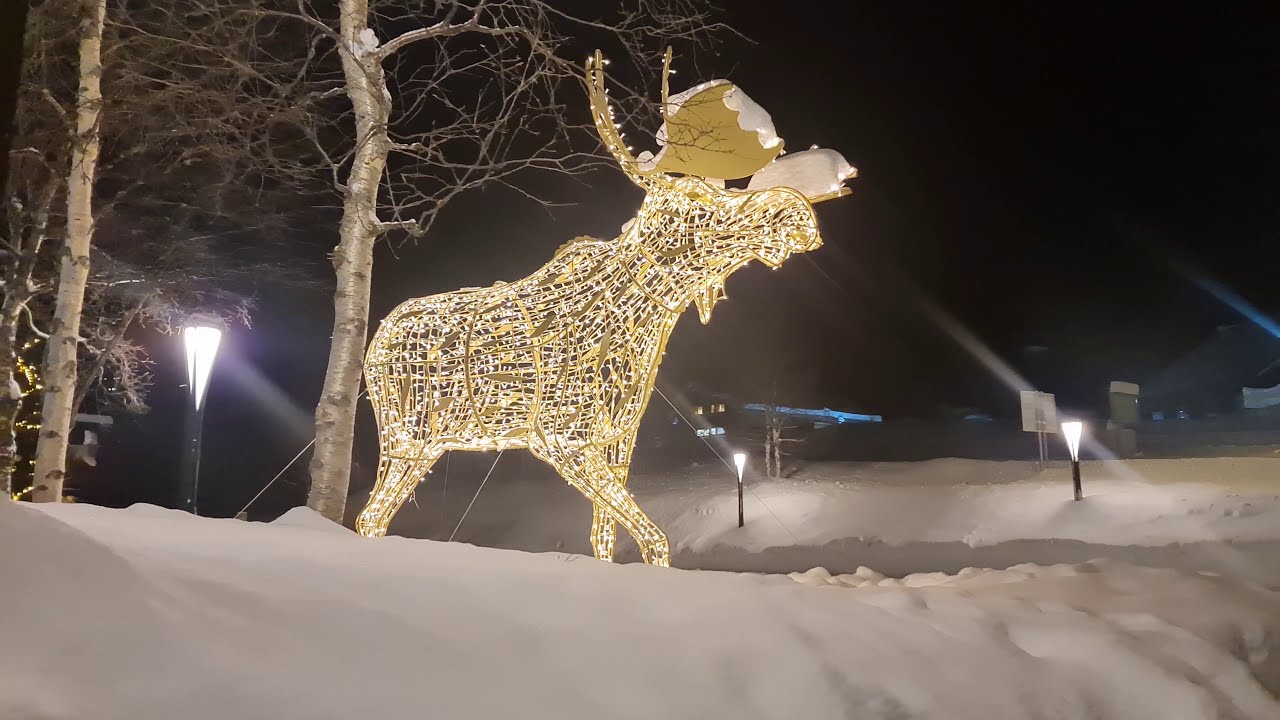 Samsung S20 Ultra | Dji Osmo Mobile 3 | Night Filming Via DJI Mimo App | 4K