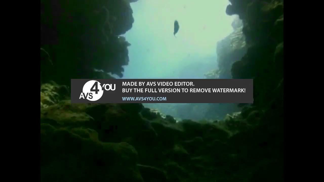 video vs round 29 - YouTube