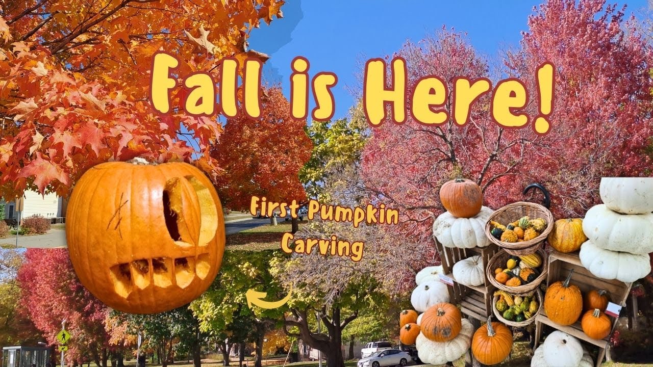 Fall is Here!! - YouTube