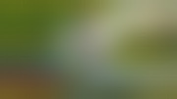 Mini Militia Carry Health Pack Mod V.5.3.4 | unlimited money | All Gans unlock | Login with Facebook