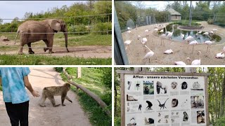 :   # 812    . Th"uringer Zoopark.