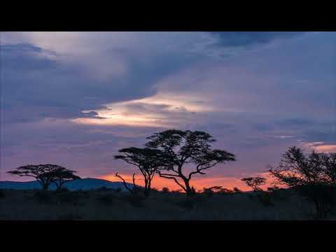 randomagestiq - deep