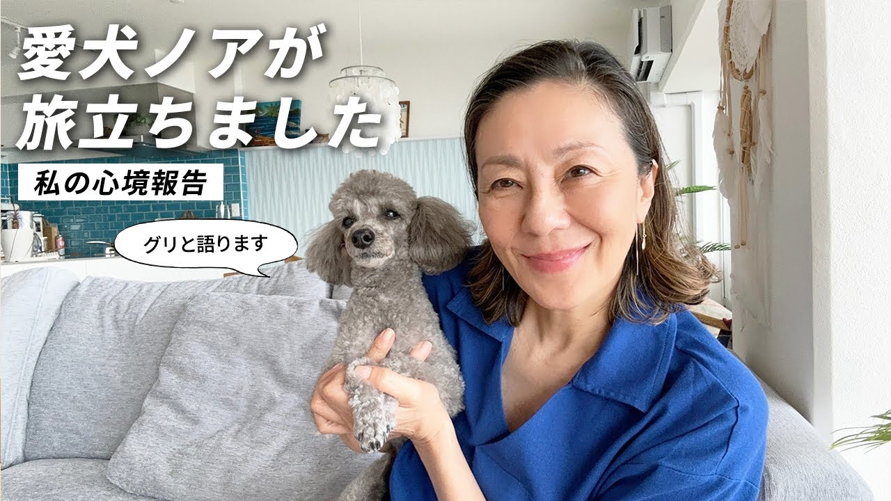 愛犬ノアの旅立ち