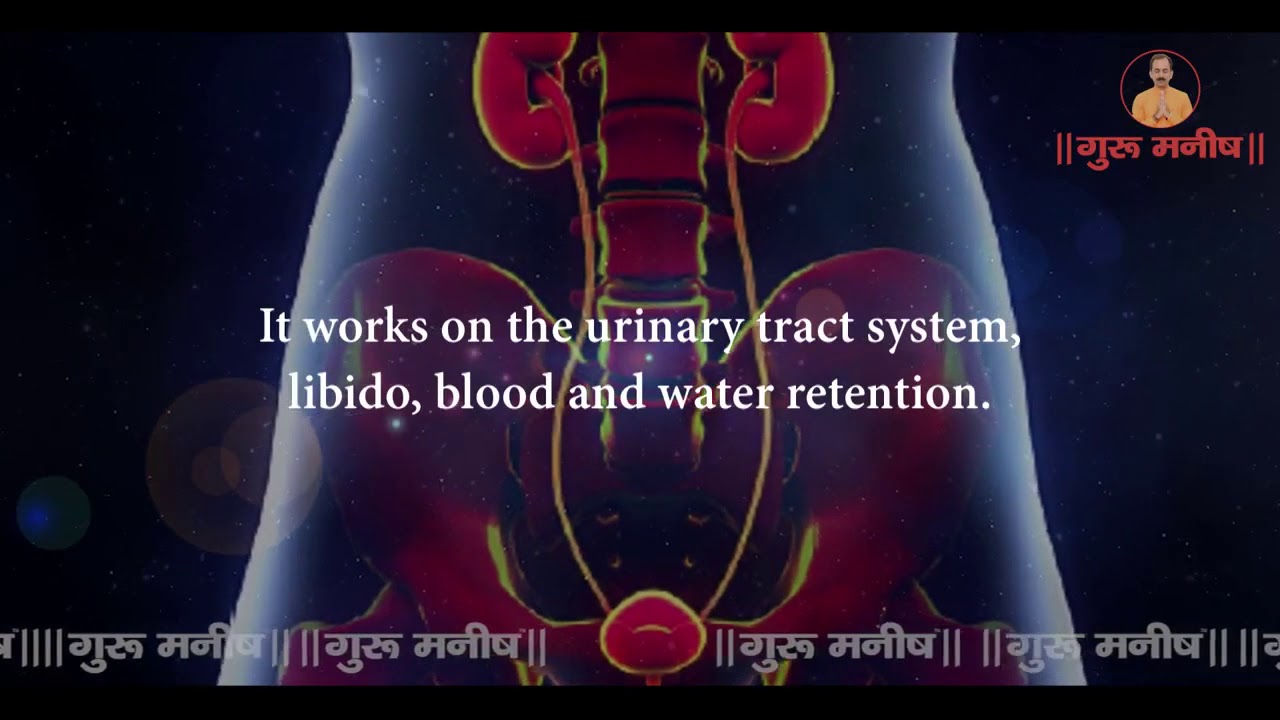 Ayurvedic Treatment Urinary Tract Infection Shuddhi Doctors YouTube