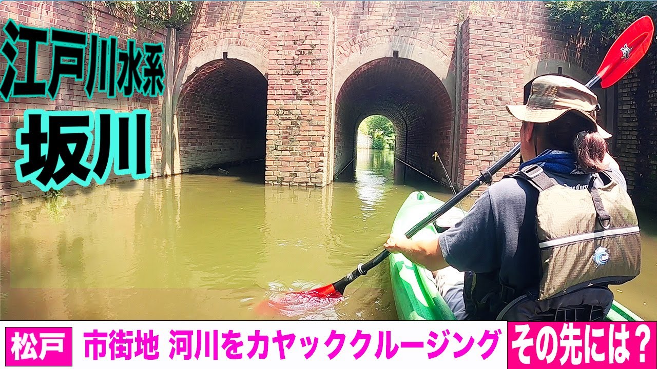 松戸ブラックバスを狙いに！まさかの！？【江戸川水系 坂川 カヤック クルージング】
