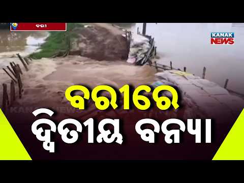 ବରୀରେ ଦ୍ବିତୀୟ ବନ୍ୟା | Jajpur Flood Situation Worsens | Brahmani River Flood Hits Bari Again