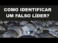 #1021 Como identificar um falso líder?