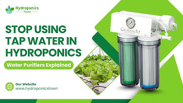 Hydroponics Water Purifiers Explained: Boost Growth with Clean Water - HydroponicsTown