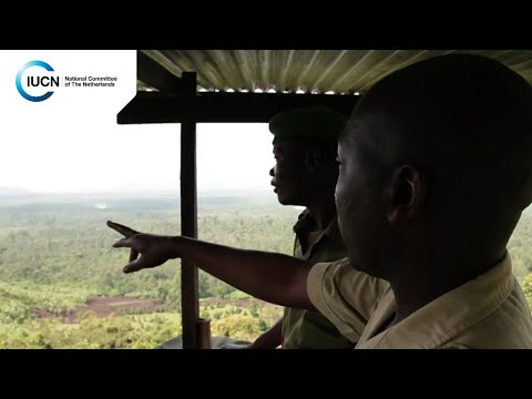 Vidéo: La Réouverture Du Parc National Des Virunga Appelle à Un Tourisme Durable En Afrique