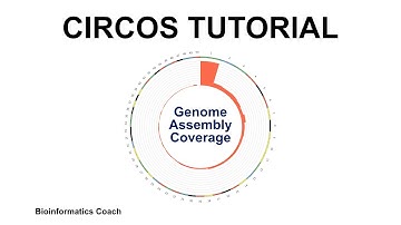 Circos Tutorial for Bioinformatics Genome Visualization |  Genome Assembly Coverage