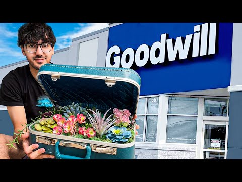 I Started A $100 Goodwill Business