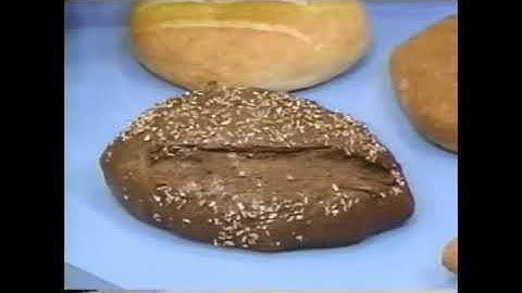 Waiting For Mr. MacRooney & Any Way You Slice It (Demo Version) Part 49