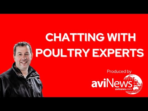 Chatting with poultry experts | Bart Janssen | VIV Europe 2022
