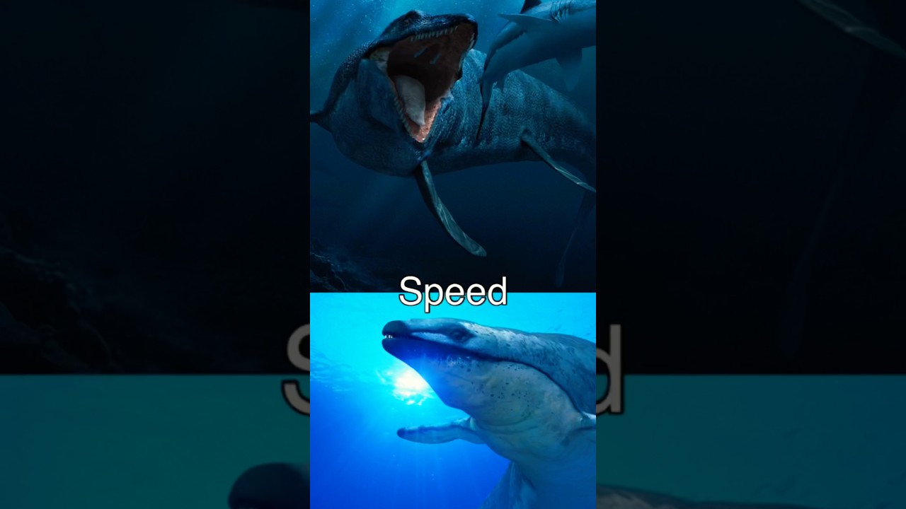 Mosasaurus vs basilosaurus
