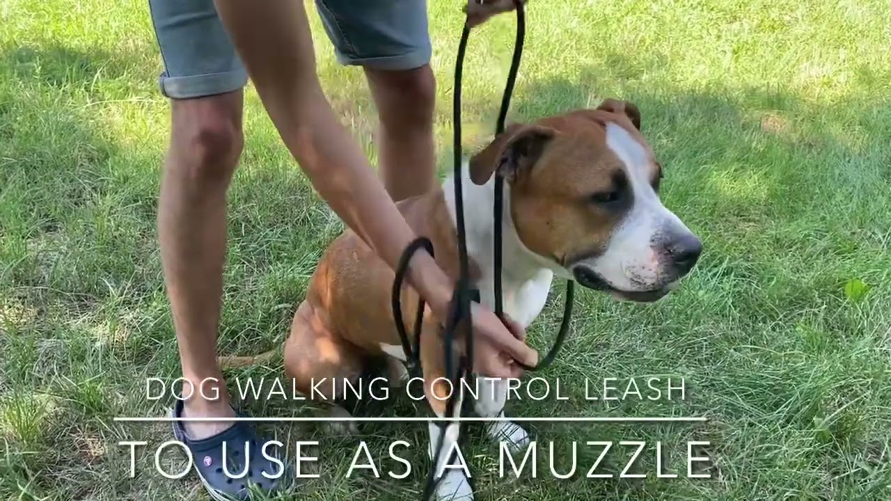How to use the Dog Walking Control Leash as a muzzle