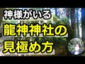 【龍神】神様がきちんといる龍神社の見極め方＆龍神が好む場所 東京 檜原村 貴布祢伊龍神社