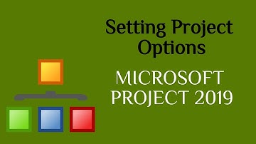 2 Setting Project Options | Microsoft Project Bangla Tutorial | Shahid Reza, PMP, PMI-ACP