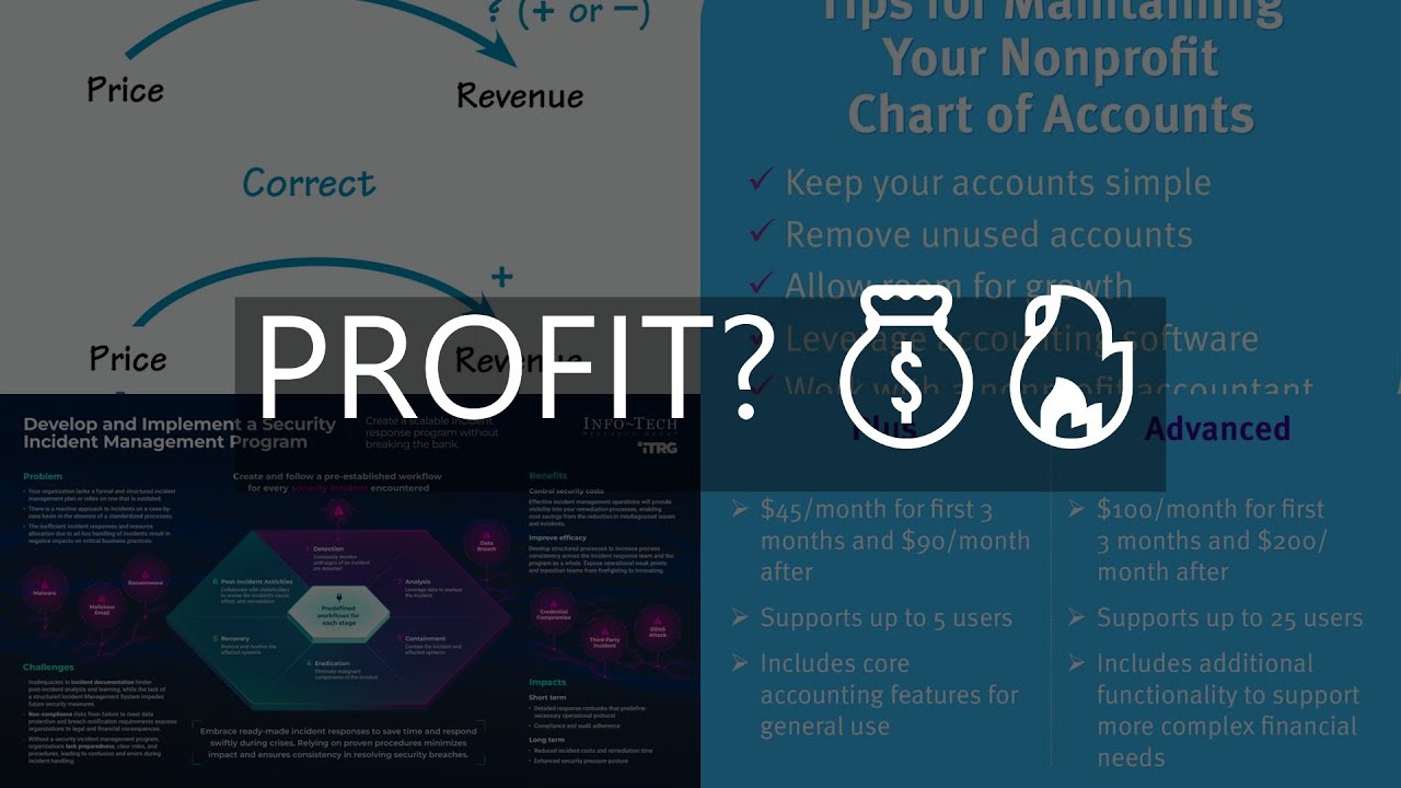 levaraged profits systems review  can you make money with this system or not