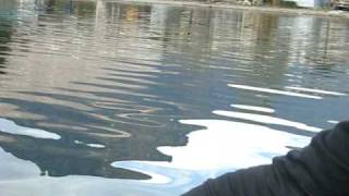 Immagine 081.avi