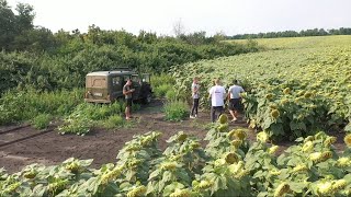 В гостях у Грищенка.А.Б Одеська обл Миколаївський рн ЕС Берекет