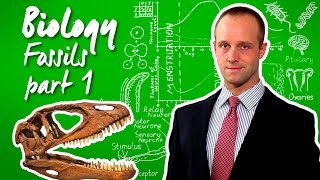 Fossils (part 1) - Biology - Science - Get That C In your GCSE and IGCSE screenshot 4