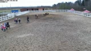 Levady 2 20161101 152619