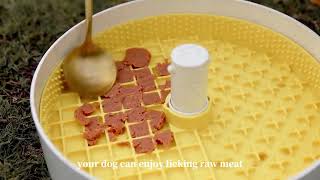 Best Dog Slow Feeder in 2022-Puzzle Feeder Help You Solve the Problems Caused by Fast Eating