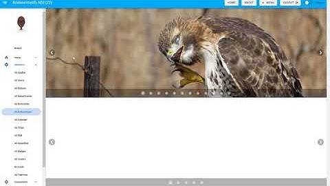 BananoVuetifyAD3 For Dummies - Part 72 - Enhanced Design System 101
