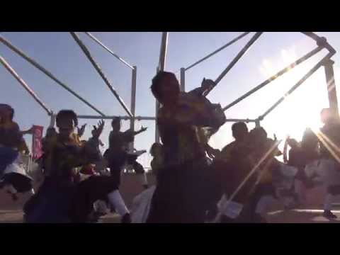 神戸学生よさこいチーム 湊 ~ KOBE ALIVE 2014 ~