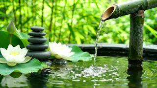 Soft Focus Music 🎋 Quiet Water Sounds and Light Piano Therapy beside Still Pond Bamboo Fountain screenshot 4