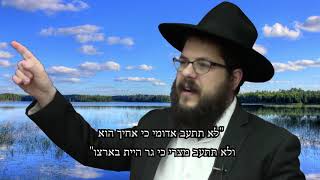 למה כדאי לי לסלוח? על הסליחה ביהדות - הרב שניאור אשכנזי