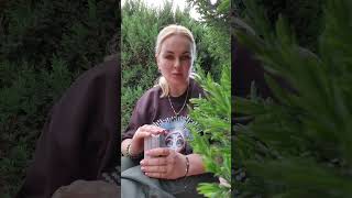 22 июня карта дня #живаякарта