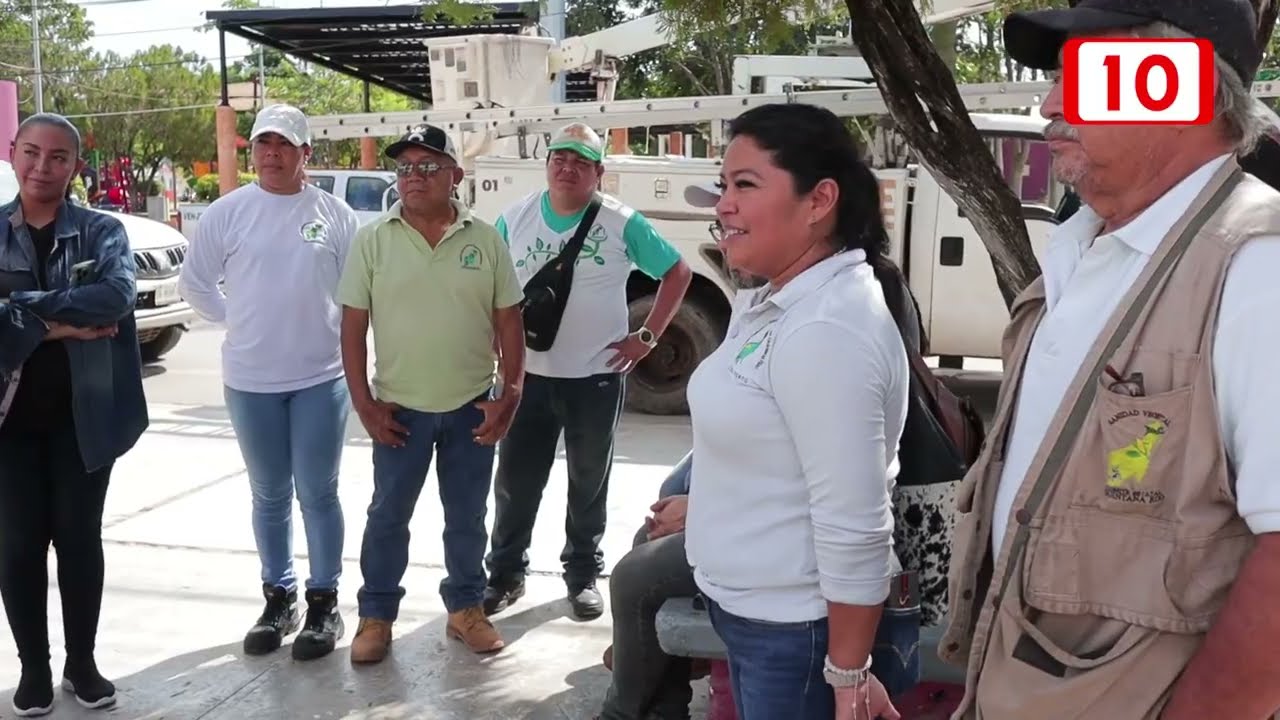 Aplicaran barridos en los huertos contra la mosca prieta en José María Morelos