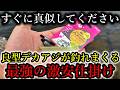 明日、すぐに真似してください。この最強仕掛けは良型アジだけを釣りまくれます