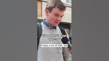 Kunnen Ieren Iers spreken? #shorts