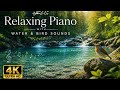 Beautiful Relaxation Music 🌿 Soothing Music with water and bird sound for Sleeping and Stress Relief